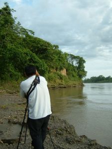 Local guides can point out wildlife you would otherwise miss