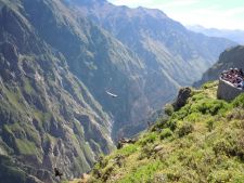 Condor Watching in the Colca Canyon