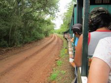 Ecological Train at Iguazu Falls, Argentina