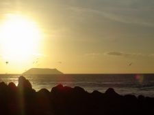 North Seymour Island by Metropolitan Touring