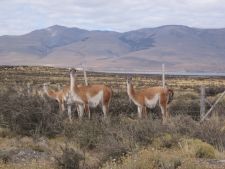 Torres del Paine National Park