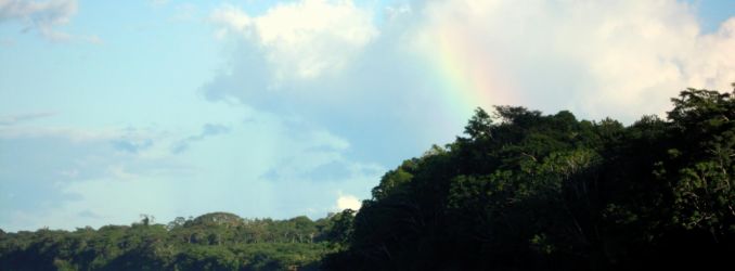 On the Tambopata River